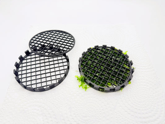 Aquarium Moss Holder – 3 Pack | 4 Inch Moss Growing Grid for Aquascaping, Shrimp & Freshwater Aquariums
