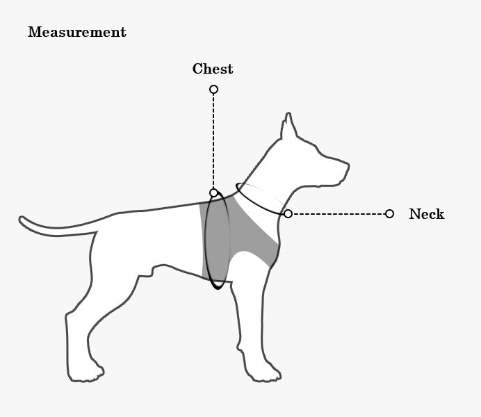 Step-In Small Dog Harness & Leash Set | Adjustable No Pull Soft Mesh Pet Harness for Small Dogs & Cats
