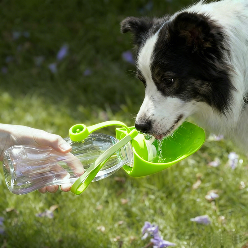 20 OZ Dog Water Bottle with Foldable Silicone Bowl | Portable Leak Proof Travel Water Bottle for Dogs