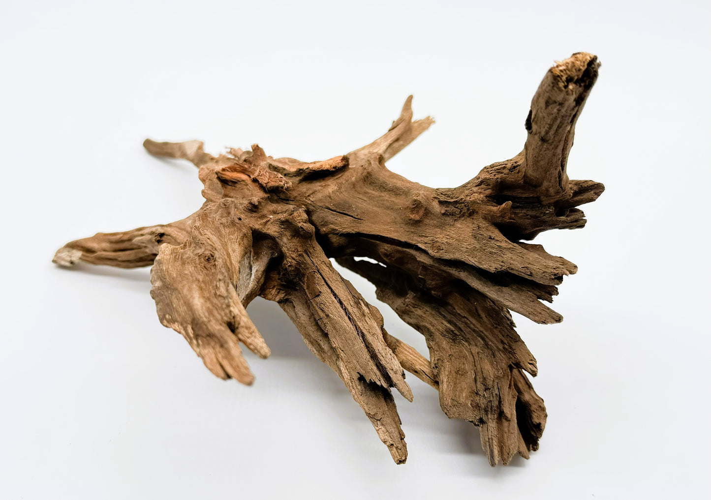Pacific Driftwood for Aquarium Aquascaping Shrimp & Betta Fish Tanks