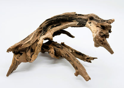 Pacific Driftwood for Aquarium Aquascaping Shrimp & Betta Fish Tanks