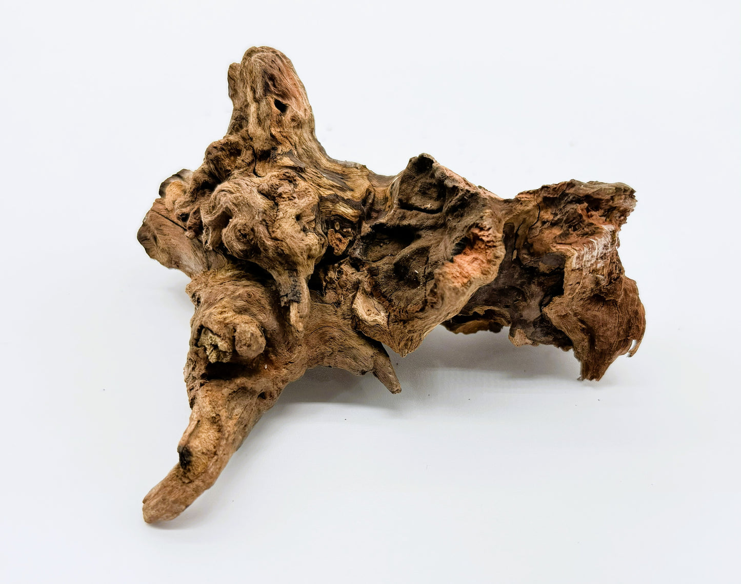 Pacific Driftwood for Aquarium Aquascaping Shrimp & Betta Fish Tanks