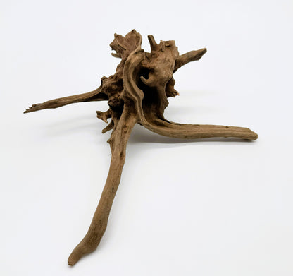Pacific Driftwood for Aquarium Aquascaping Shrimp & Betta Fish Tanks