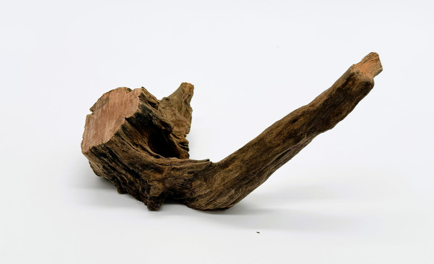 Pacific Driftwood for Aquarium Aquascaping Shrimp & Betta Fish Tanks