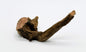 Pacific Driftwood for Aquarium Aquascaping Shrimp & Betta Fish Tanks