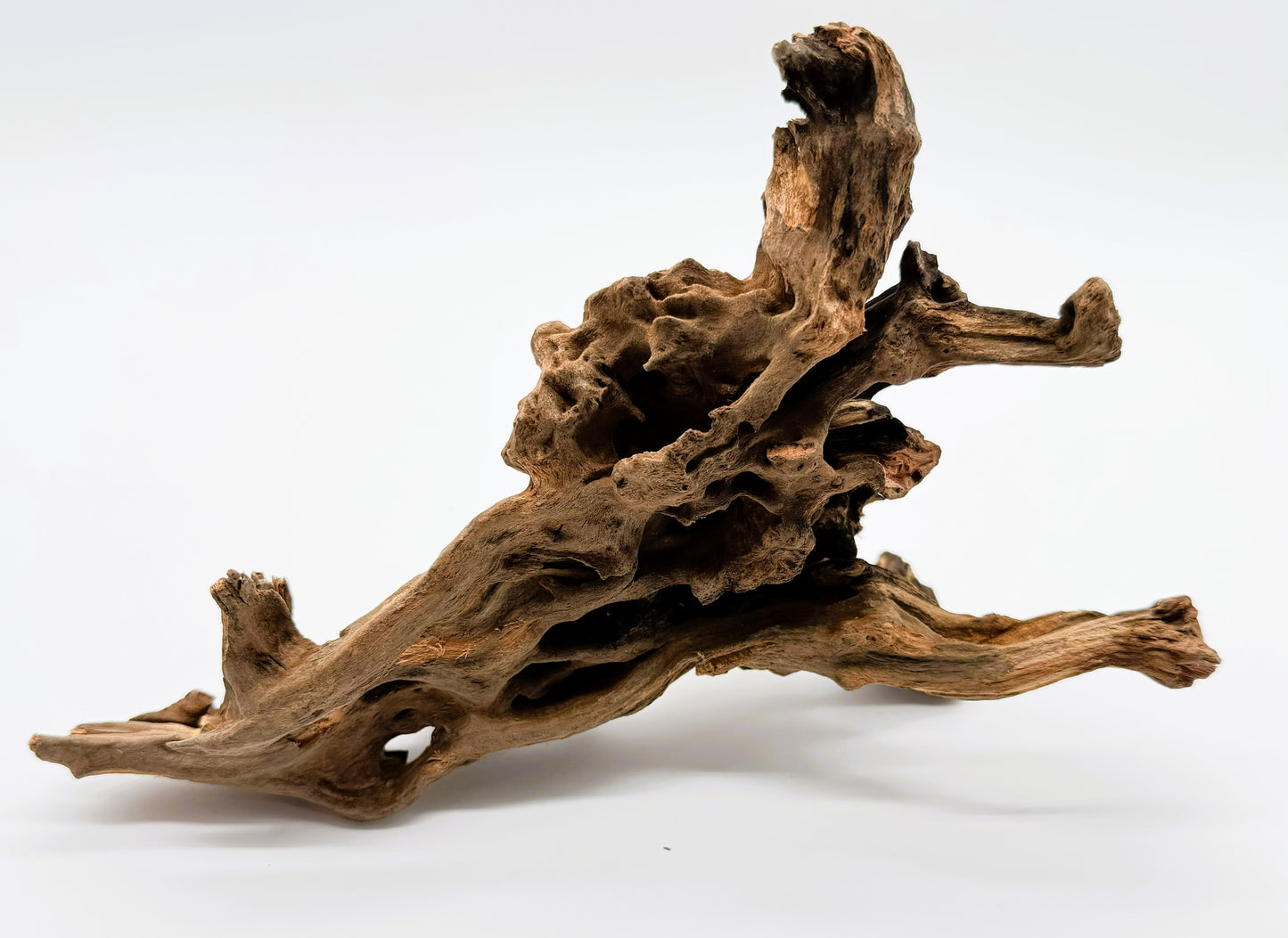 Pacific Driftwood for Aquarium Aquascaping Shrimp & Betta Fish Tanks