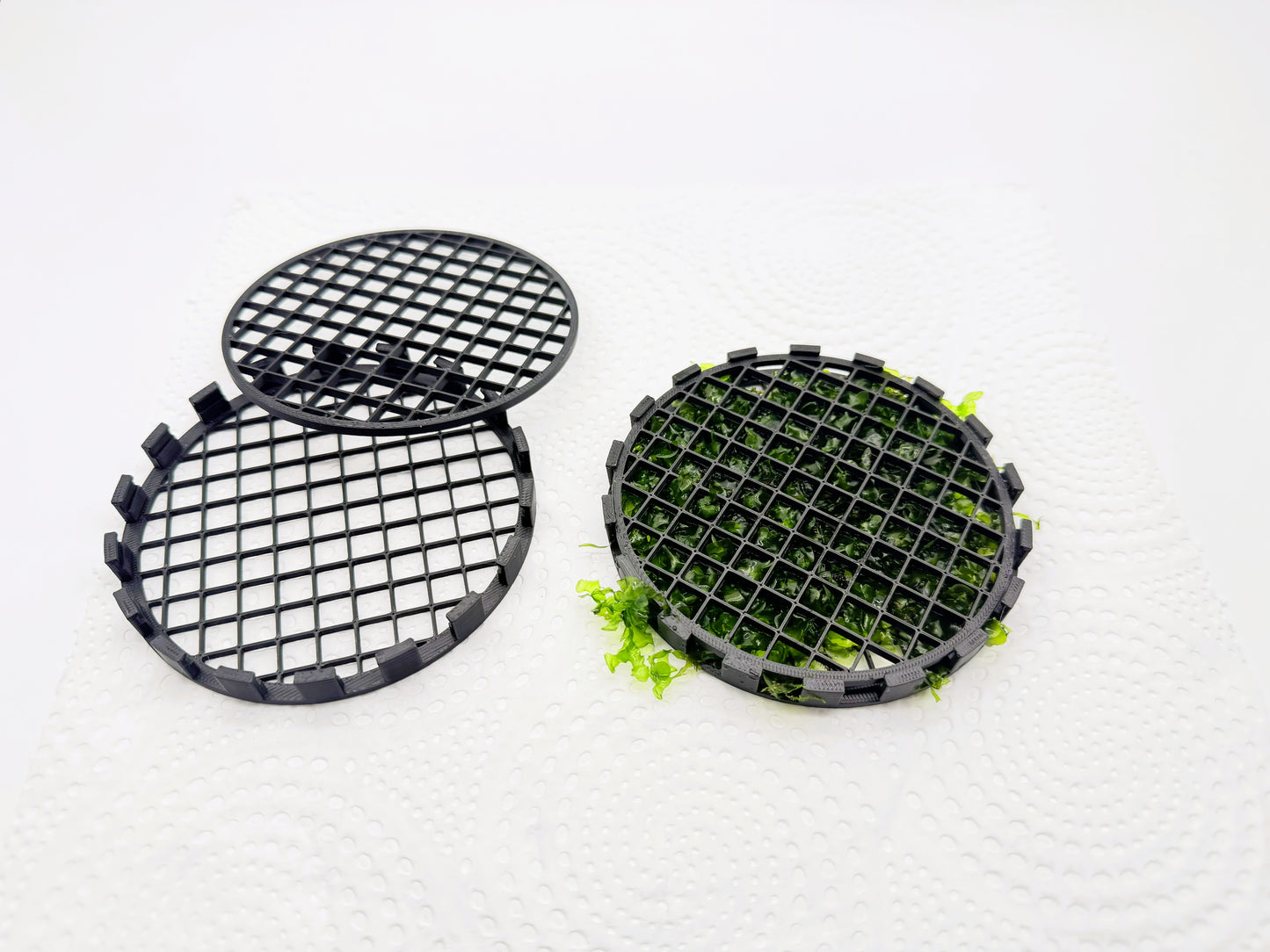 Aquarium Moss Holder – 3 Pack | 4 Inch Moss Growing Grid for Aquascaping, Shrimp & Freshwater Aquariums