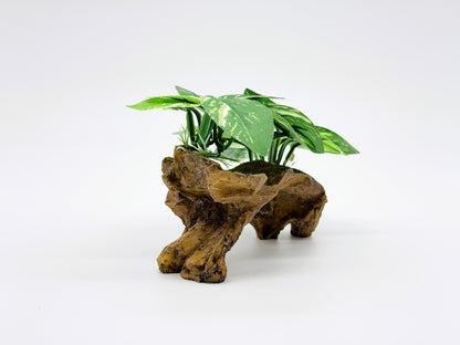 Realistic Aquarium Plant on Rock Decoration | Natural Looking Fish Tank Ornament for Freshwater Aquariums