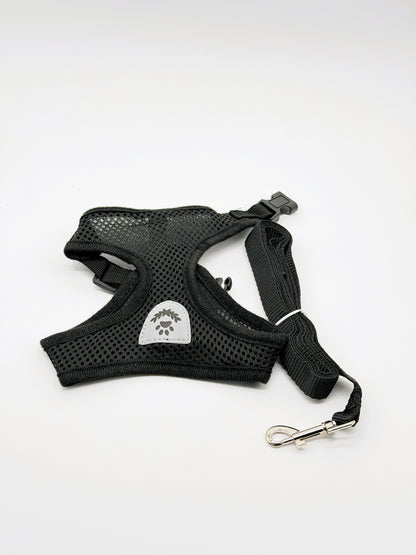 Step-In Small Dog Harness & Leash Set | Adjustable No Pull Soft Mesh Pet Harness for Small Dogs & Cats