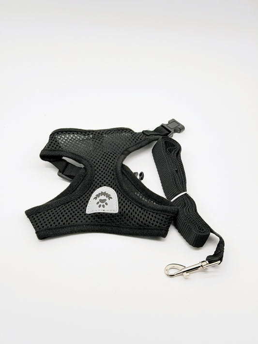 Step-In Small Dog Harness & Leash Set | Adjustable No Pull Soft Mesh Pet Harness for Small Dogs & Cats
