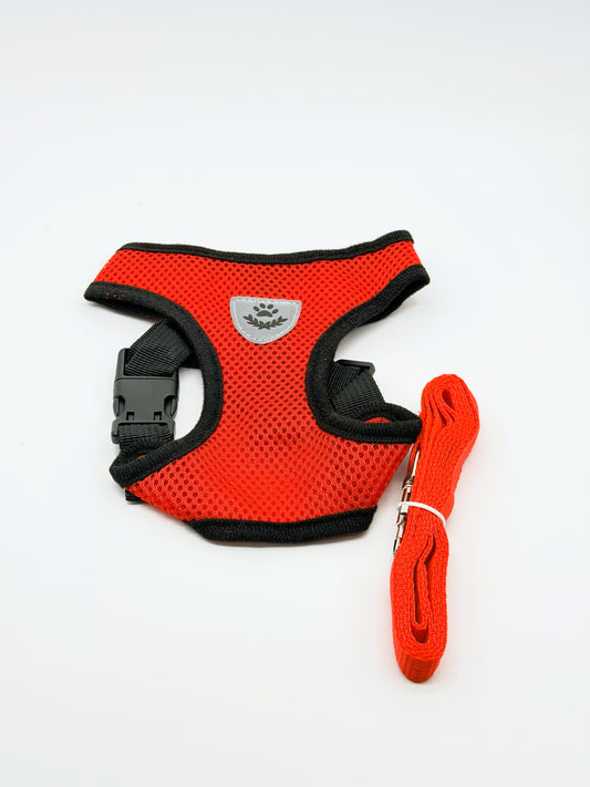 Step-In Small Dog Harness & Leash Set | Adjustable No Pull Soft Mesh Pet Harness for Small Dogs & Cats
