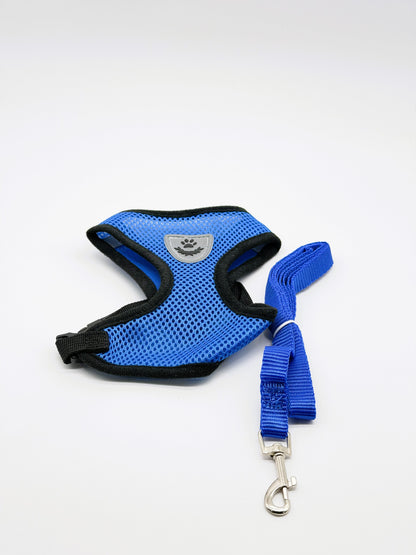 Step-In Small Dog Harness & Leash Set | Adjustable No Pull Soft Mesh Pet Harness for Small Dogs & Cats
