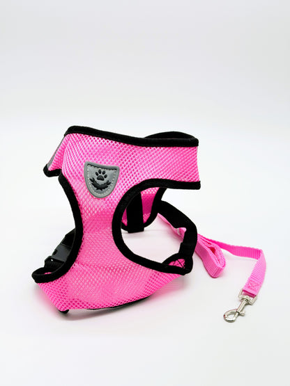Step-In Small Dog Harness & Leash Set | Adjustable No Pull Soft Mesh Pet Harness for Small Dogs & Cats