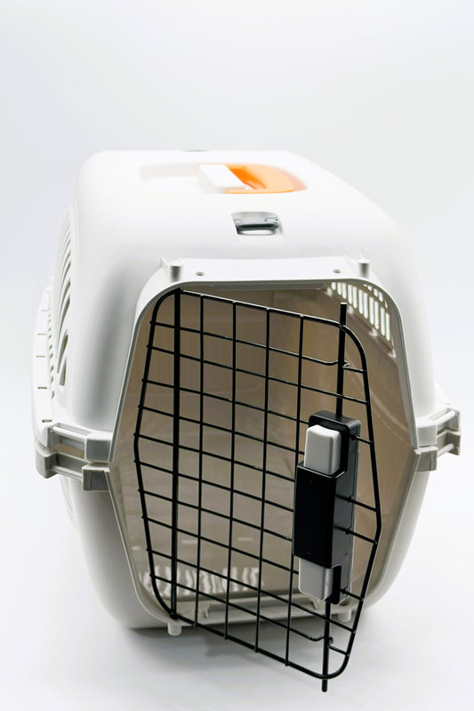 Pet Travel Carrier for Small Dogs & Cats | Hard-Sided Portable Kennel with Metal Door