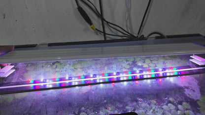 18.5" Full Spectrum RGBW LED Aquarium Light | Planted Tank Light with 3 Color Modes | Fits 18.5"-22" Fish Tanks